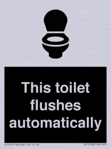 This toilet flushes automatically